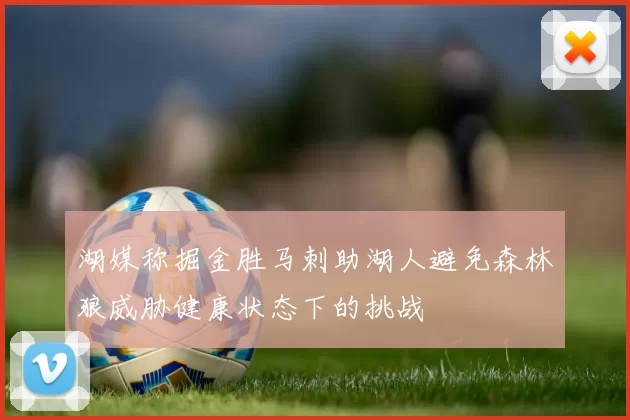 湖媒称掘金胜马刺助湖人避免森林狼威胁健康状态下的挑战